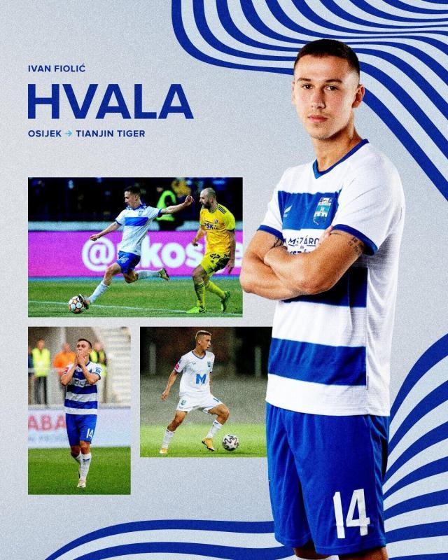 1702915097758087511.jpg 津门虎.jpg